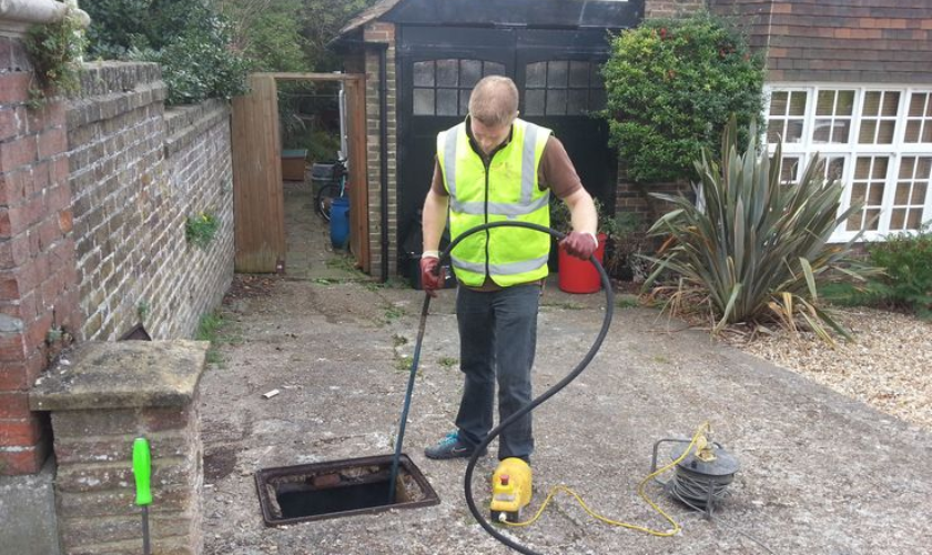 How Tree Roots Affect Your Drains And What To Do About It