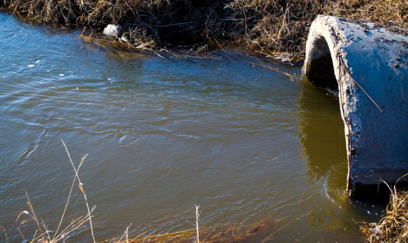 The Long-Term Impact Of Ignoring A Clogged Sewer Line